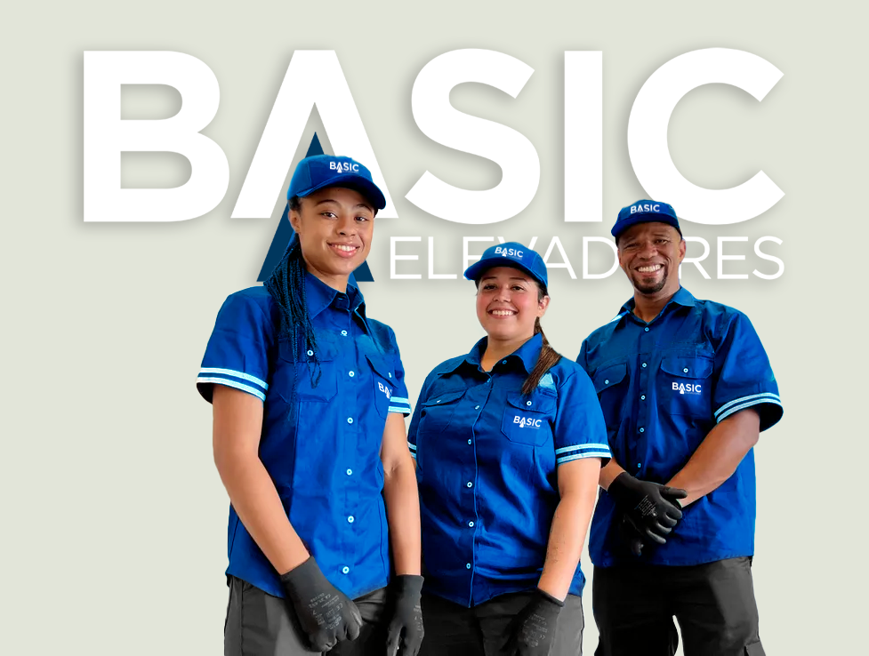 Carreira 3 equipe